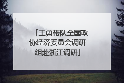 王勇带队全国政协经济委员会调研组赴浙江调研
