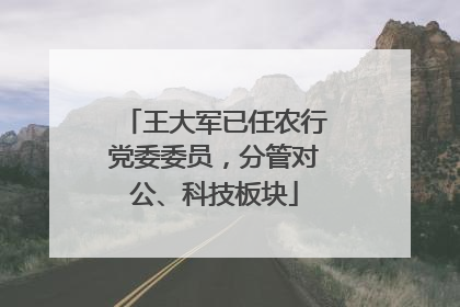 王大军已任农行党委委员，分管对公、科技板块