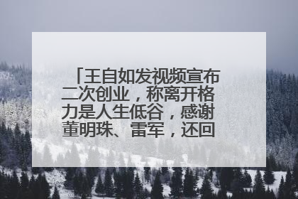 王自如发视频宣布二次创业，称离开格力是人生低谷，感谢董明珠、雷军，还回应了“工资条”：清楚自己要什么……