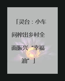 灵台：小车间榨出乡村全面振兴“幸福油”