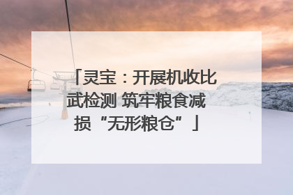 灵宝：开展机收比武检测 筑牢粮食减损“无形粮仓”