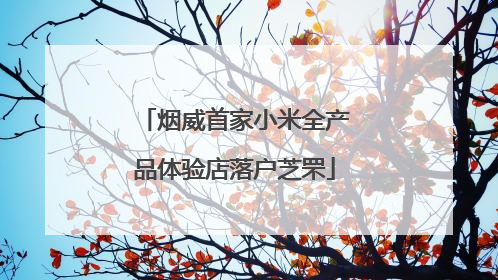 烟威首家小米全产品体验店落户芝罘