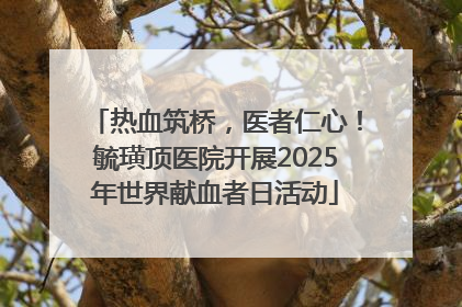 热血筑桥，医者仁心！毓璜顶医院开展2025年世界献血者日活动