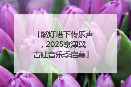 燃灯塔下传乐声，2025京津冀古建音乐季启幕