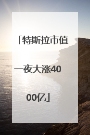 特斯拉市值一夜大涨4000亿