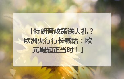 特朗普政策送大礼？欧洲央行行长喊话：欧元崛起正当时！