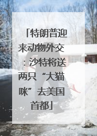 特朗普迎来动物外交：沙特将送两只“大猫咪”去美国首都