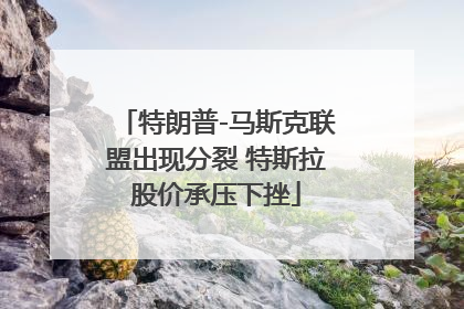 特朗普-马斯克联盟出现分裂 特斯拉股价承压下挫