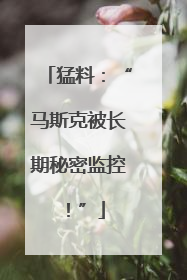 猛料：“马斯克被长期秘密监控！”