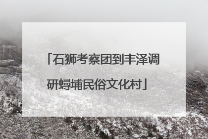 石狮考察团到丰泽调研蟳埔民俗文化村