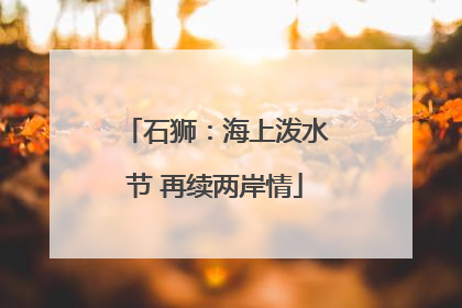 石狮：海上泼水节 再续两岸情