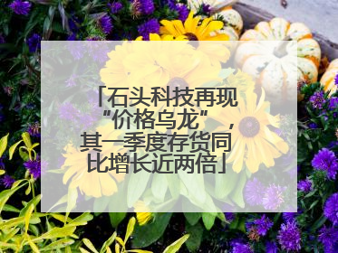 石头科技再现“价格乌龙”，其一季度存货同比增长近两倍