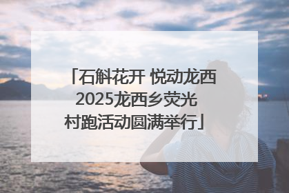 石斛花开 悦动龙西 2025龙西乡荧光村跑活动圆满举行