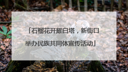 石榴花开耀白塔，新街口举办民族共同体宣传活动