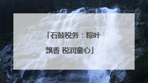 石鼓税务：粽叶飘香 税润童心