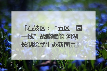 石鼓区：“五区一园一线”战略赋能 河湖长制绘就生态新图景