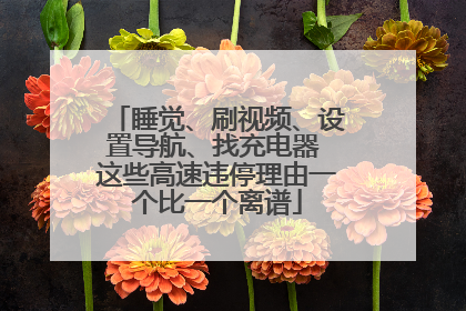 睡觉、刷视频、设置导航、找充电器 这些高速违停理由一个比一个离谱