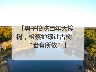 男子擅挖百年大樟树，检察护绿让古树“老有所依”