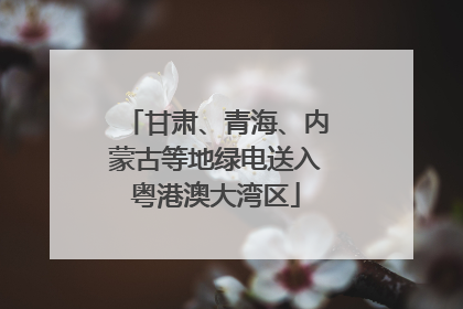 甘肃、青海、内蒙古等地绿电送入粤港澳大湾区