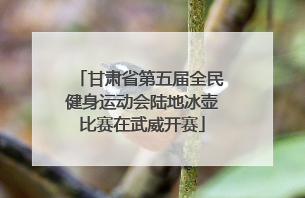 甘肃省第五届全民健身运动会陆地冰壶比赛在武威开赛