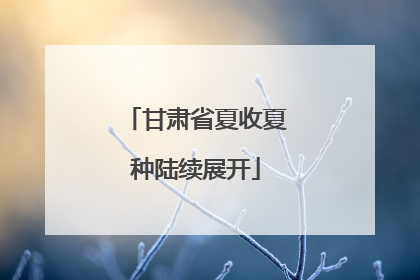 甘肃省夏收夏种陆续展开