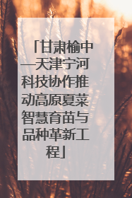 甘肃榆中—天津宁河科技协作推动高原夏菜智慧育苗与品种革新工程
