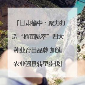 甘肃榆中：聚力打造“榆苗陇萃”四大种业育苗品牌 加速农业强县转型步伐