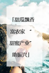 甜瓜飘香富农家 “甜蜜产业”助振兴