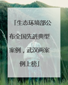 生态环境部公布全国先进典型案例，武汉两案例上榜