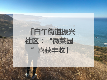 白午街道振兴社区：“微菜园”喜获丰收