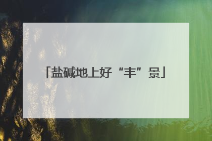 盐碱地上好“丰”景