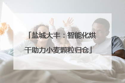 盐城大丰：智能化烘干助力小麦颗粒归仓