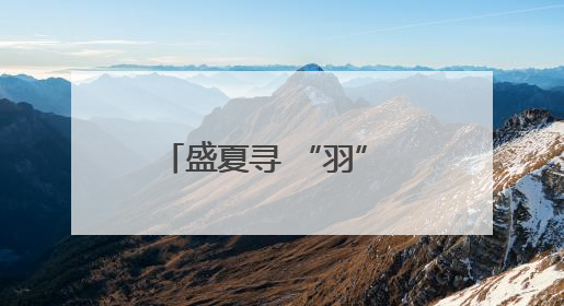 盛夏寻 “羽” 记：滇池观鸟掀起生态旅游新风尚