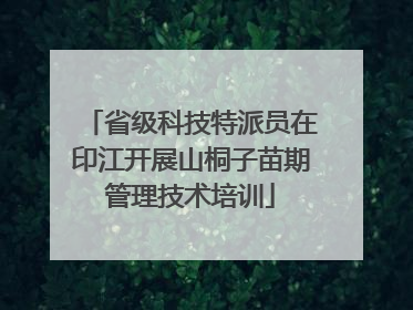 省级科技特派员在印江开展山桐子苗期管理技术培训