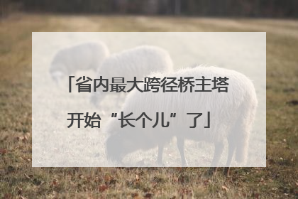 省内最大跨径桥主塔开始“长个儿”了
