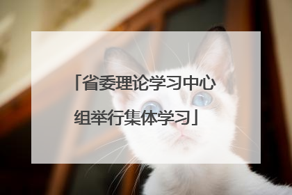 省委理论学习中心组举行集体学习