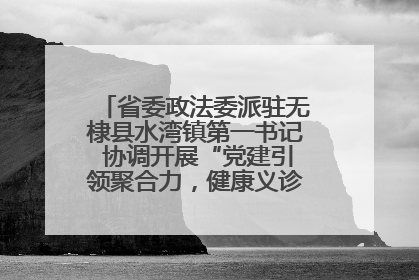 省委政法委派驻无棣县水湾镇第一书记 协调开展“党建引领聚合力，健康义诊惠乡亲”义诊活动