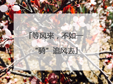 等风来，不如一“骑”追风去