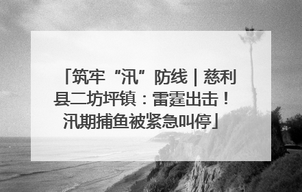 筑牢“汛”防线｜慈利县二坊坪镇：雷霆出击！汛期捕鱼被紧急叫停