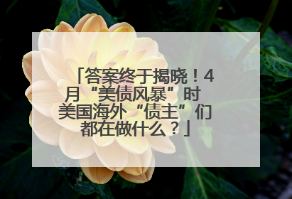 答案终于揭晓！4月“美债风暴”时 美国海外“债主”们都在做什么？