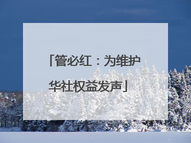 管必红：为维护华社权益发声