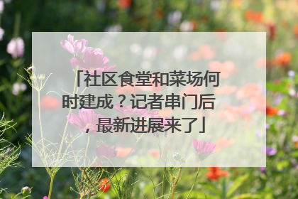 社区食堂和菜场何时建成？记者串门后，最新进展来了