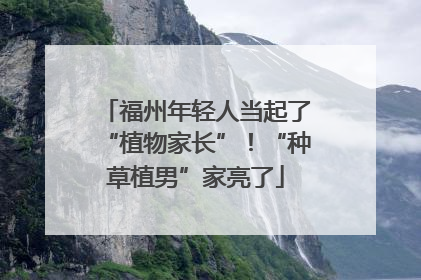 福州年轻人当起了“植物家长”！“种草植男”家亮了