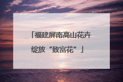 福建屏南高山花卉绽放“致富花”