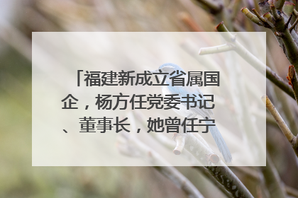 福建新成立省属国企，杨方任党委书记、董事长，她曾任宁德市委副书记｜张田怡已任县委副书记、县政府党组书记