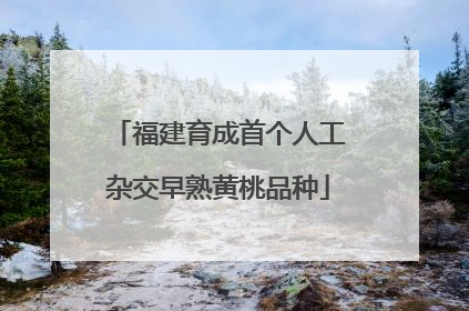 福建育成首个人工杂交早熟黄桃品种