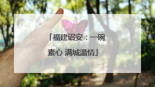福建诏安：一碗素心 满城温情