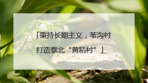 秉持长期主义，苇沟村打造泰北“黄精村”