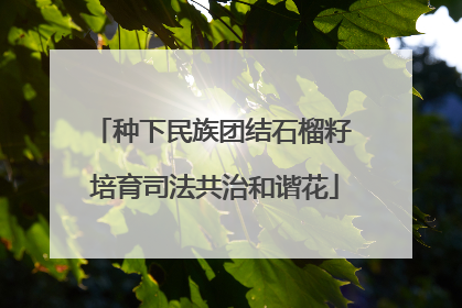 种下民族团结石榴籽 培育司法共治和谐花