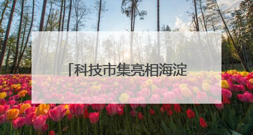 科技市集亮相海淀公园 前沿成果“飞入寻常百姓家”